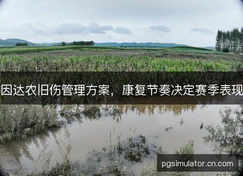 因达农旧伤管理方案，康复节奏决定赛季表现